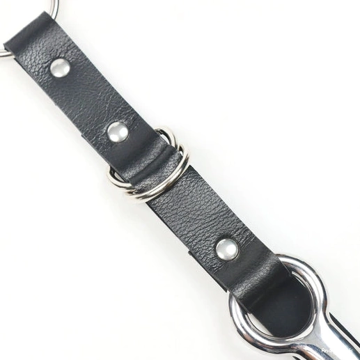 5853 Anal with Leash EverydayUse Kinky and Collar Hook 0820